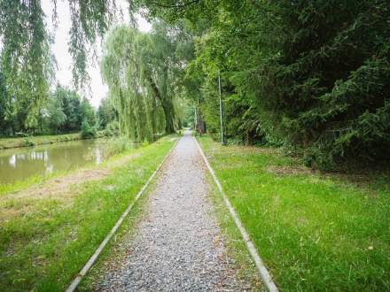 Otwarcie ścieżki wiedzy i zdrowia w Drogomyślu
